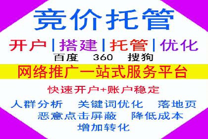 百度竞价排名服务：成功案例解析与优化策略